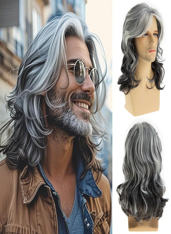 Baruisi Long Wavy Grey Wigs for Men Synthetic Layered Wavy Cosplay Party Wig - Image 1
